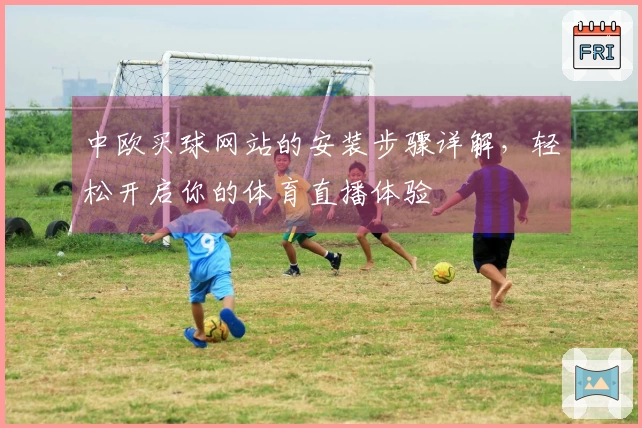 中欧买球网站的安装步骤详解,轻松开启你的体育直播体验