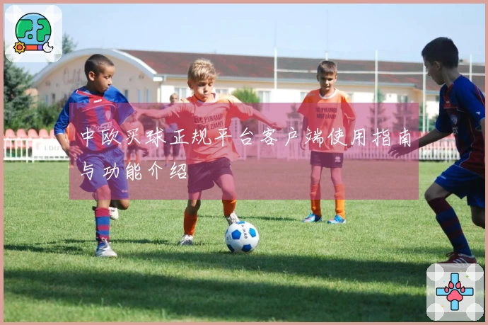中欧买球正规平台客户端使用指南与功能介绍