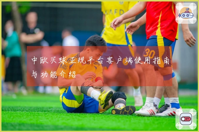 中欧买球正规平台客户端使用指南与功能介绍